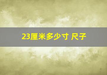 23厘米多少寸 尺子